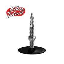 Bike Totaal 26x2 / 60-559 (47-559) Valve Fv 50 Mm Modèle 56863