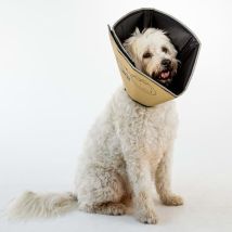 Collier Animaux De Compagnie Comfy Cone Xxl 37,5 Cm Brun All Four Paws