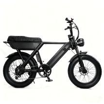 Vélo Électrique Yangor Y20, 20 Po Fat Bike, 48v 15ah, 7 Vitesses, Noir