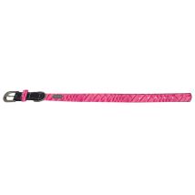 Collier Chien Dundee Rose Taille : T4