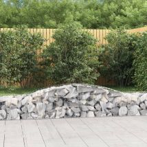 Panier De Gabions Arqué 400x50x40-60 Fer Galvanisé