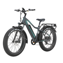 Vélo Électrique Jobobike Robin Pro, 48v 20ah Batterie Lg, 26” Fat Bike, Gris