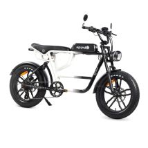 Vélo Électrique Youin Bk7000 Miami 250 W 20"