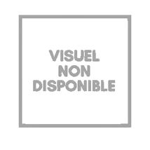 Ventilateur Ekivalan 2 Fans Noir Efficace Et Élégant