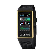 Montre Intelligente Calypso K8502/4