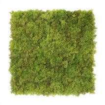 Mur Végétal Artificiel Mousse - 1m X 1m - Exelgreen