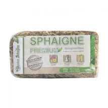 Sphaigne Du Chili 250gr - Garden Solutions
