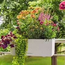 Jardinière Balconera Stone 50 All-in-one Blanc Quartz Lechuza