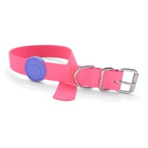 Collier Morso Pour Chien En Rose, Écologique Et Imperméable