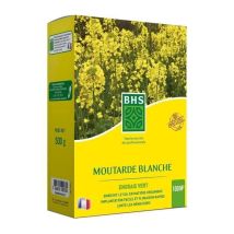 Moutarde Blanche Bhs, Carton De 500grs, 100m²