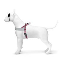 Harnais Pour Chien Norvégien Morso En Dur Recyclé Skyline Rouge
