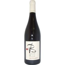 Saint Pourcain - Vin Rouge Domaine De Bellevue Saint Pourcain - 75cl