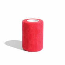 Bleu Et Vert Flamboyant Rinat 8ariprta80-104 Rouge