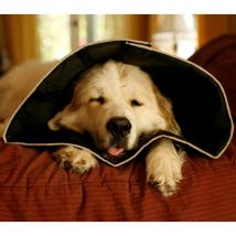 Collier Animaux De Compagnie Comfy Cone Xxl 37,5 Cm Noir All Four Paws