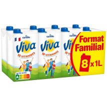 Lait Vitaminé Viva Candia