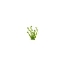 Aqua Plantes Artificielles Marina Hornwort 20 Cm - Plastiques - Verte