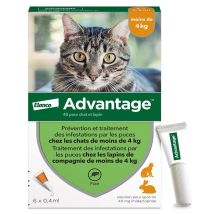 Advantage Anti-puces Chat & Lapin (< 4 Kg) - 6 Pipettes