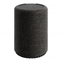 AUDIO PRO G10 Wireless Multi-room Speaker with Google Assistant - Dark Grey, Silver/Grey