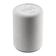 AUDIOPRO G10 Wireless Multi-room Speaker with Google Assistant - Light Grey, Silver/Grey