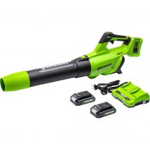 GREENWORKS GWG24X2ABK2X Leaf Blower with 2 Batteries - Black & Green