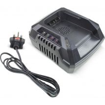 HYUNDAI HYCH402 40 V Garden Machinery Fast Battery Charger