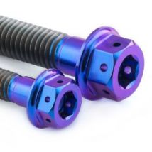 Pro-Bolt Titanium Rear Brake Caliper Pinch Bolt Kit - Purple, Purple