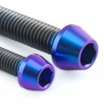 Pro-Bolt Titanium Rear Brake Caliper Pinch Bolt Kit - Purple, Purple