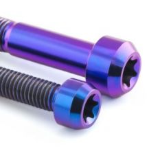 Pro-Bolt Titanium Rear Brake Caliper Pinch Bolt Kit - Purple, Purple