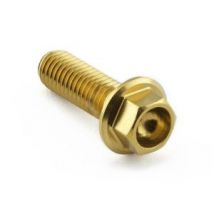 Pro-Bolt Stainless Steel Front Brake Caliper Pinch Bolt Kit - Gold, Gold