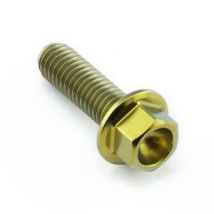 Pro-Bolt Titanium Rear Brake Caliper Pinch Bolt Kit - Gold, Gold