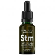 MÁDARA Plant Stem Cell Concentrate
