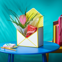 Bromeliad & Chocolates Envelope