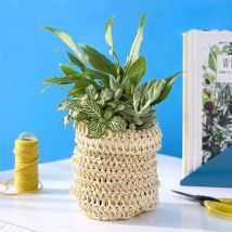 Letterbox Lily Loveliness | Lily, Succulent & Fittonia | Letterbox Plants | Spring Plants By Post | Plant Delivery - Flying Flowers