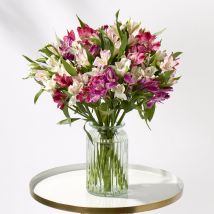 Deluxe Amazing Alstroemeria | Mixed Alstroemeria | Delivered in Bud | Flowers By Post | Next Day Flower Delivery - Flying Flowers