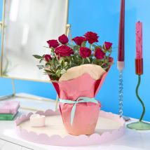 Pure Rose Romance | Valentine's Day Delivery | Red Rose Plant | Valentine's Roses | Valentine's Flowers - Flying Flowers
