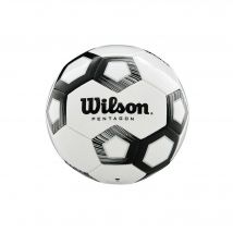 Ballon Wilson Pentagon