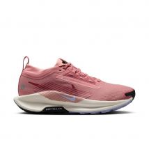 Chaussures de trail femme Nike Pegasus Trail 5 Gore-Tex
