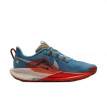 Chaussures de trail Nike Pegasus Trail 5