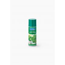 Lustrant plantes vertes , 200*50*50
