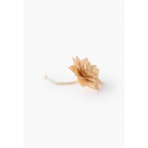 Fleur parfumée en bois, kit