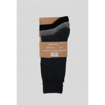 Chaussettes fil d écosse - marine - Gris foncé - 41-42 - Homme - Monoprix Homme