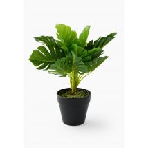 Plante artificielle succulente, 275*220*220, plastique