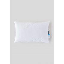 Colas Normand - Oreiller rectangulaire , 45x70cm, housse 100% coton et garnissage 100% microgel - Blanc - Unique