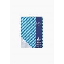 400 feuillets mobiles perforées, 21 x 29,7, grands carreaux