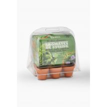 Radis & Capucine - Mini serre de 6 pots aromatiques, 20*15*21,7 cm - Beige clair - Unique