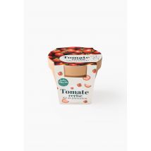 Radis & Capucine - Pot antique" tomate cerise, en terre cuite, 12x13.5cm" - Beige clair - Unique