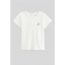 Bout'chou - T-shirt manches courtes avec broderie maille côtelée en coton bio gots - Beige Ecru - 24 mois - Bébé