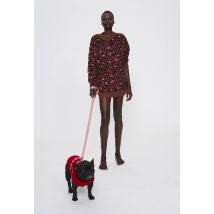 Pull pour chien à message contenant de la laine et du cachemire - Rouge - Unique - Monoprix Createurs