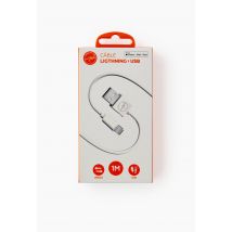 Câble usb vers lightning, 1m