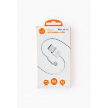 Câble usb vers lightning, 1m